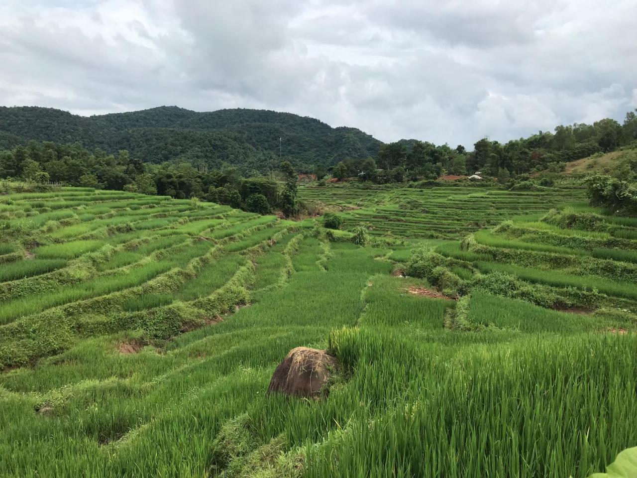 Eco Homestay Mai Châu Extérieur photo